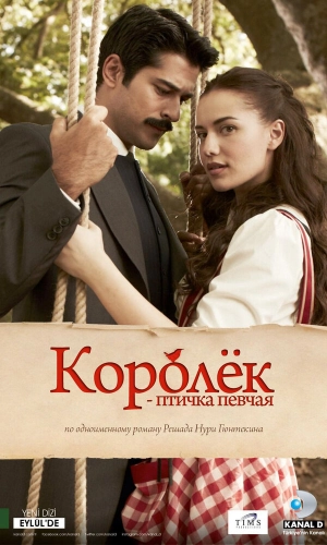Подробнее о турецком сериале «Королёк – птичка певчая»